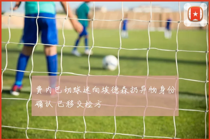 费内巴切球迷向埃德森扔异物身份确认 已移交检方