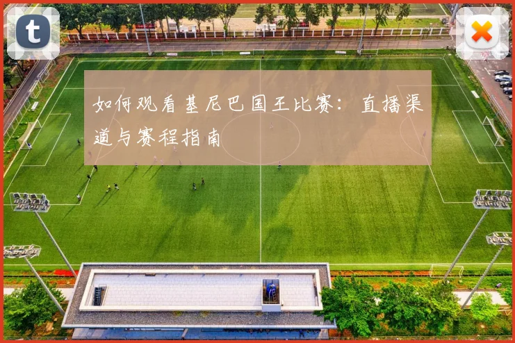 如何观看基尼巴国王比赛:直播渠道与赛程指南